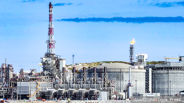     Фото: dpa/Global Look Press   
 Текст: Ольга Самофалова