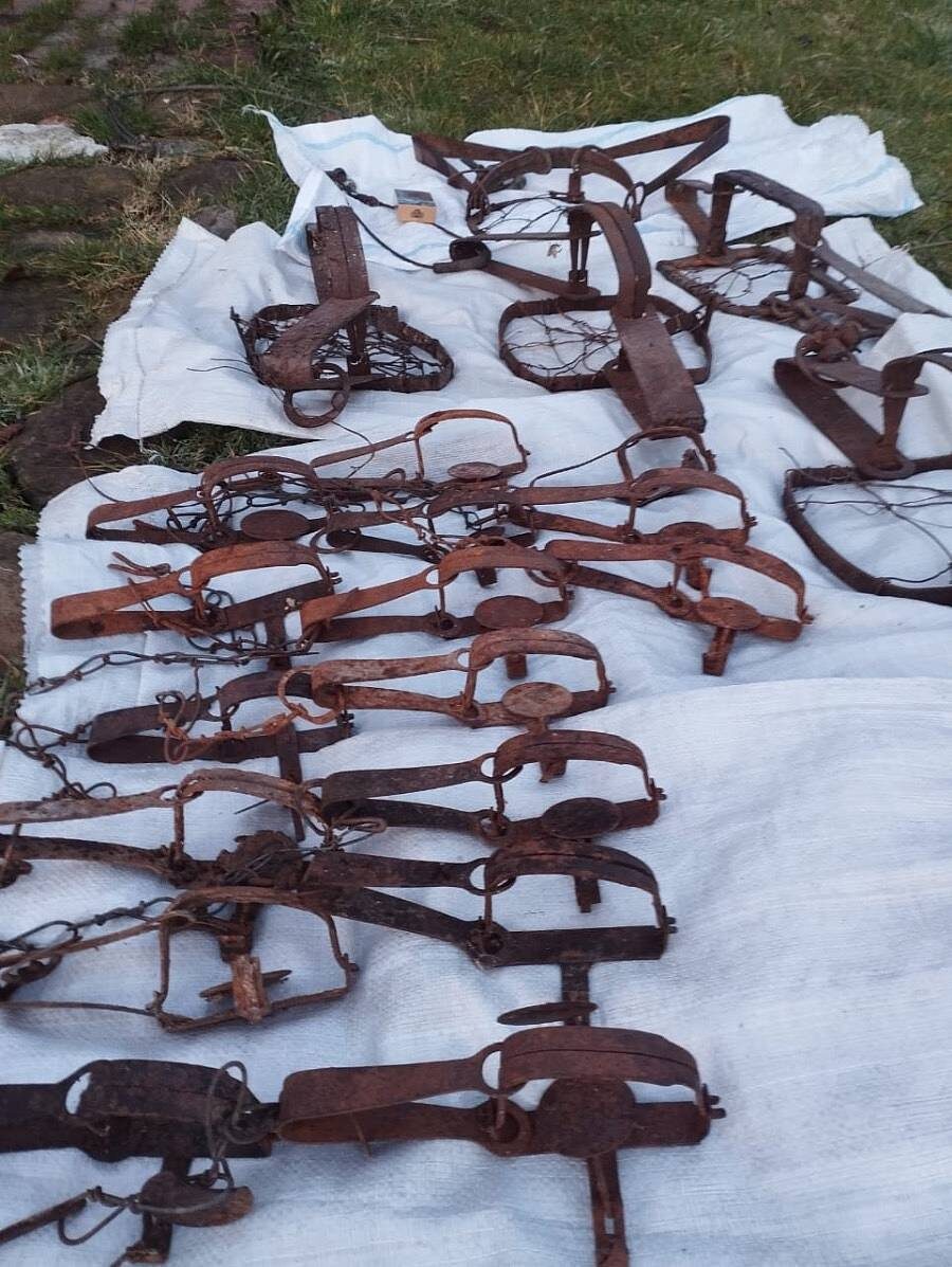 фото: npsochi.ru  📷
