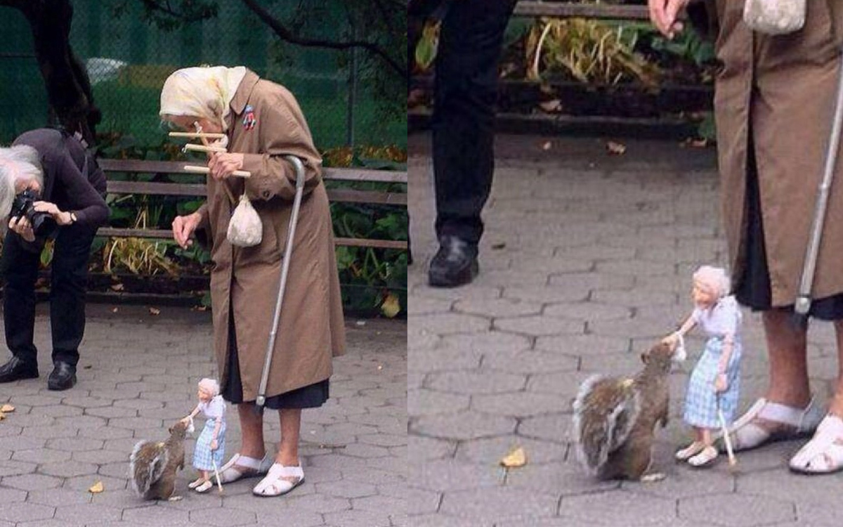 Картинка из открытого доступа.