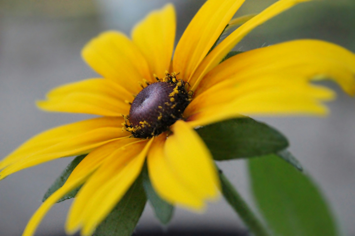 Картинка с бесплатного фотостока https://unsplash.com, автор Allison Jones