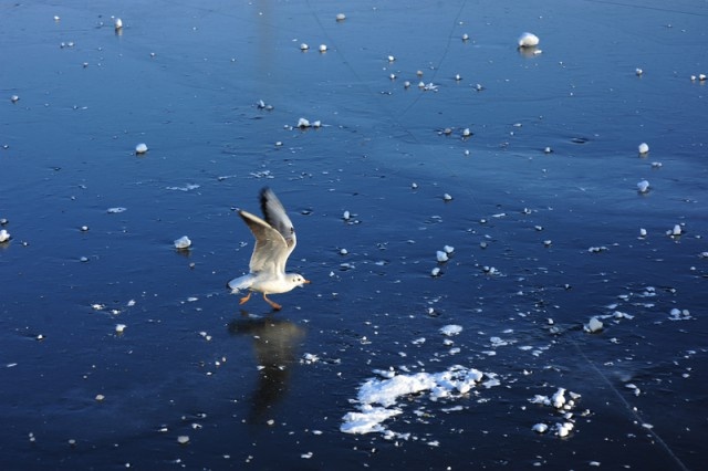   Фото из архива Калининград.Ru