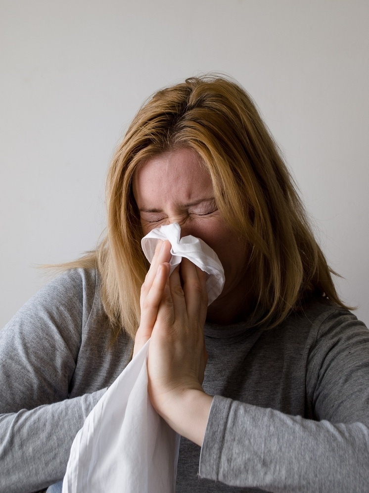     Фото: pxhere.com