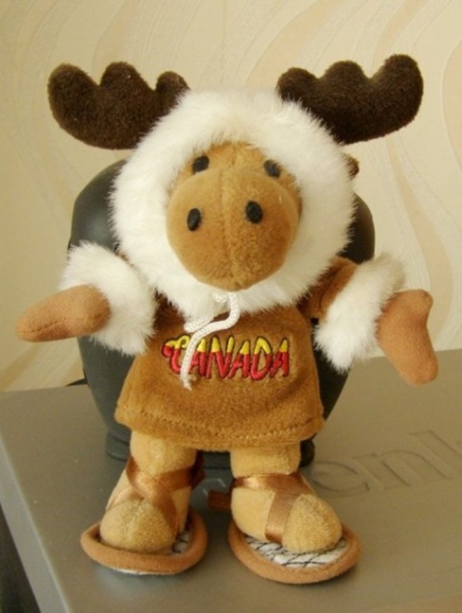 фото из яндекса