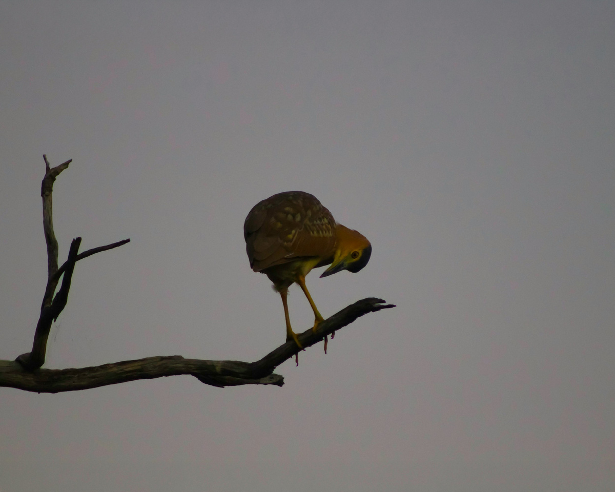 Картинка с бесплатного фотостока https://unsplash.com, автор anna harris