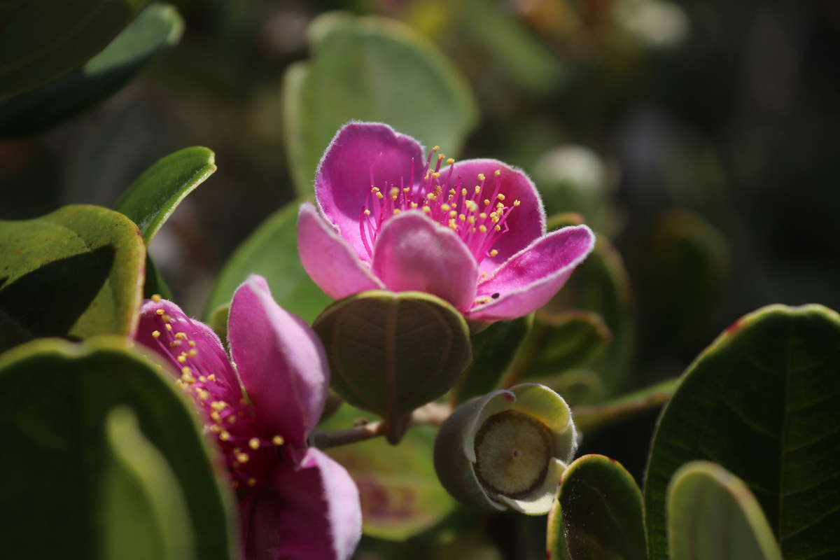 Картинка с бесплатного фотостока https://unsplash.com, автор Dian Tindaon