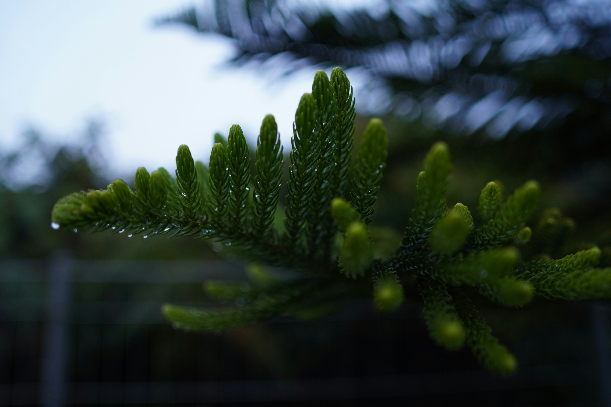 Картинка с бесплатного фотостока https://unsplash.com, автор Dian Tindaon