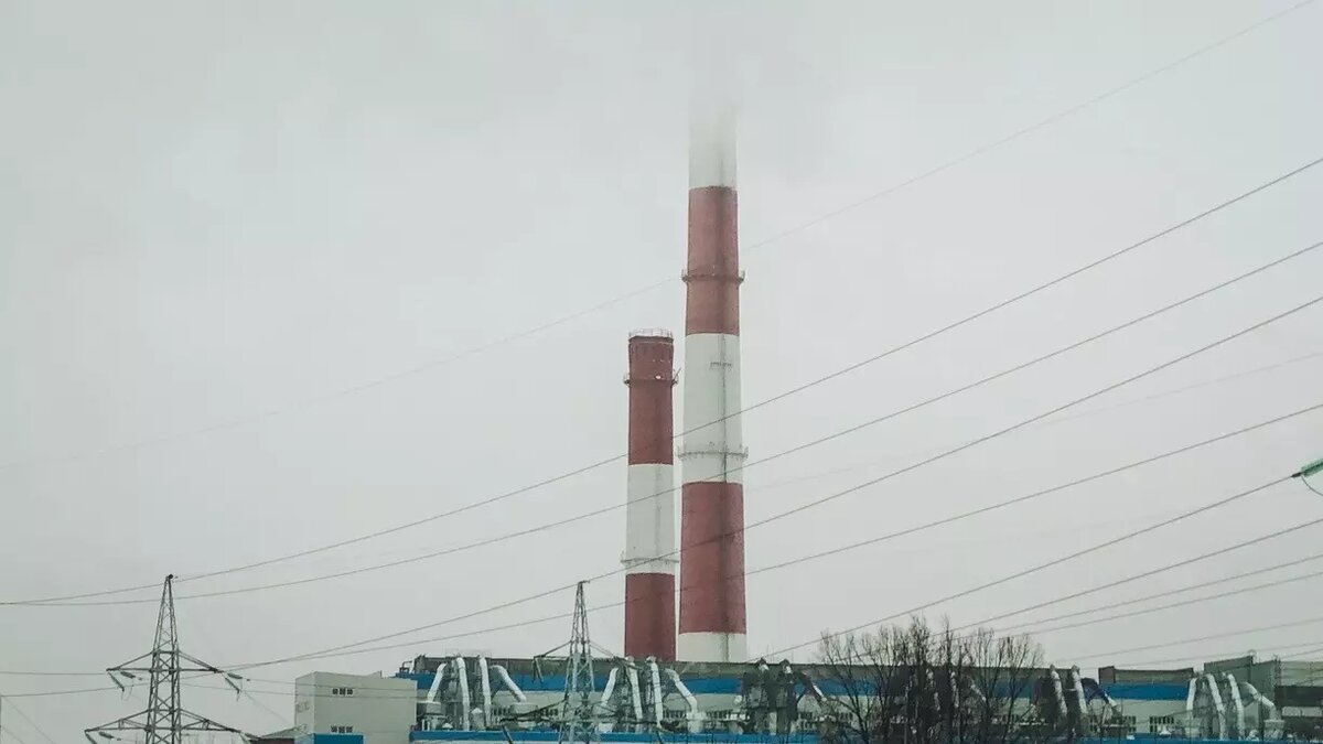     Источник: 1MI