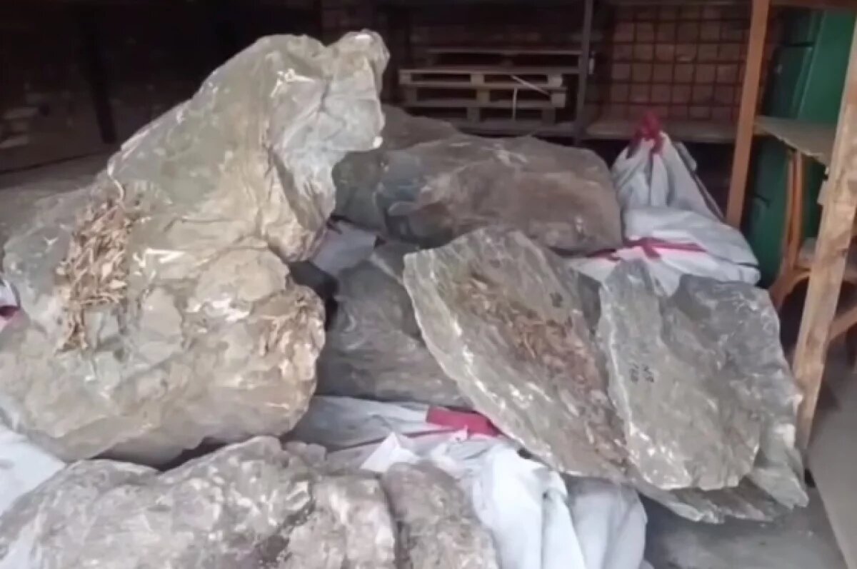    На Алтае мужчина пытался провезти через госграницу 6 тонн нефрита