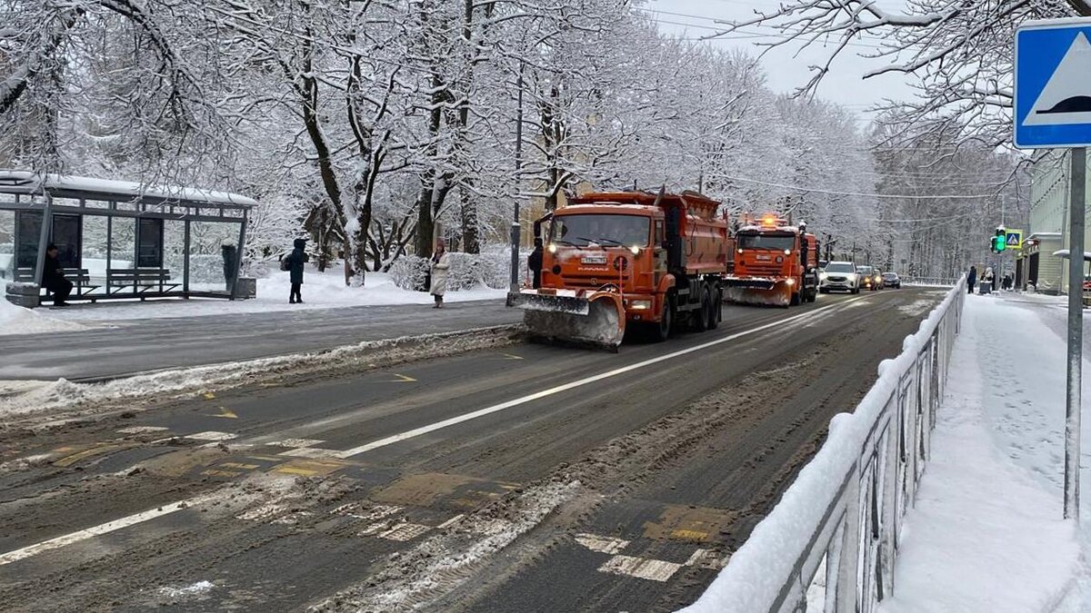    Фото: vk.com/kb_spb
