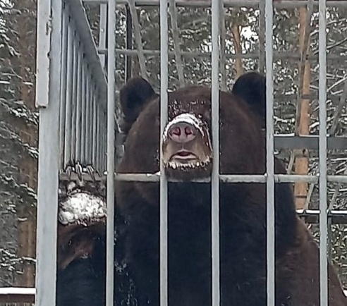 Открытый источник.