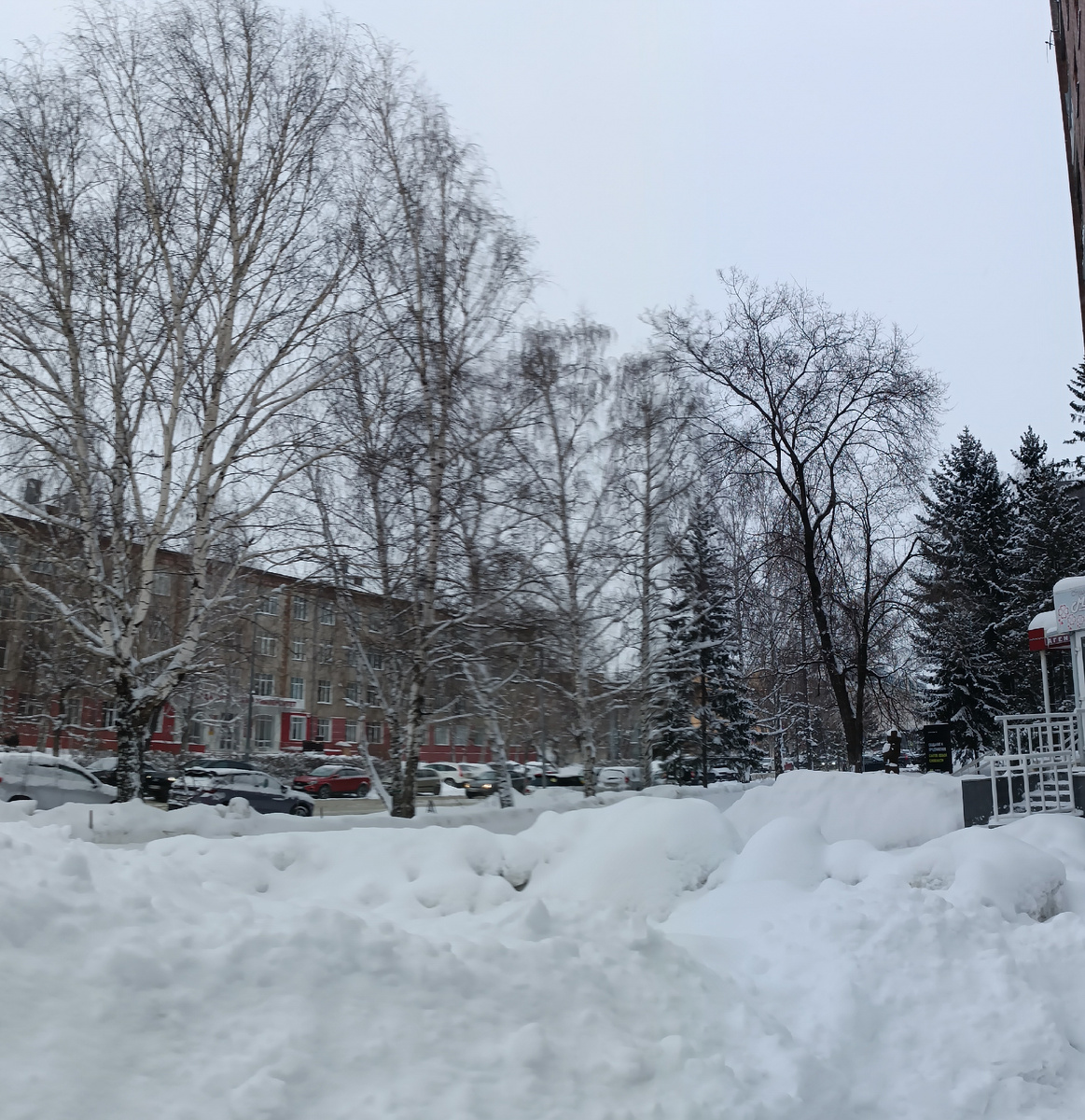 Где-то на просторах моего города. Фотография автора, февраль текущего 2025 года. 