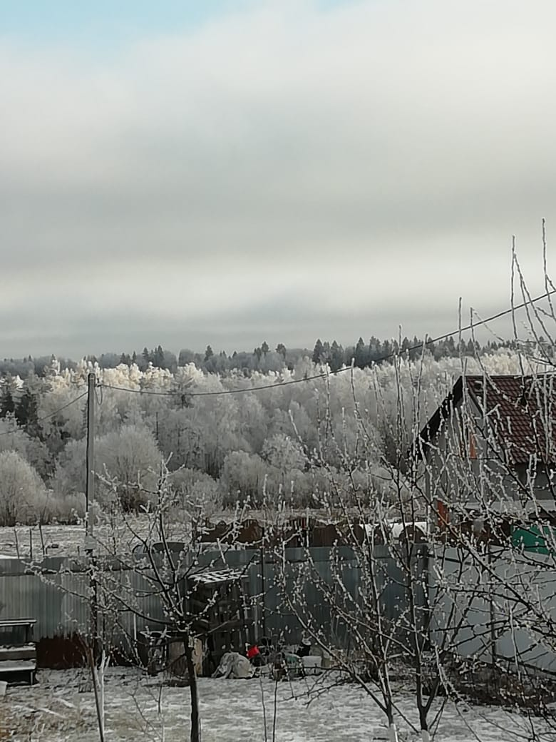 Вид из окна.