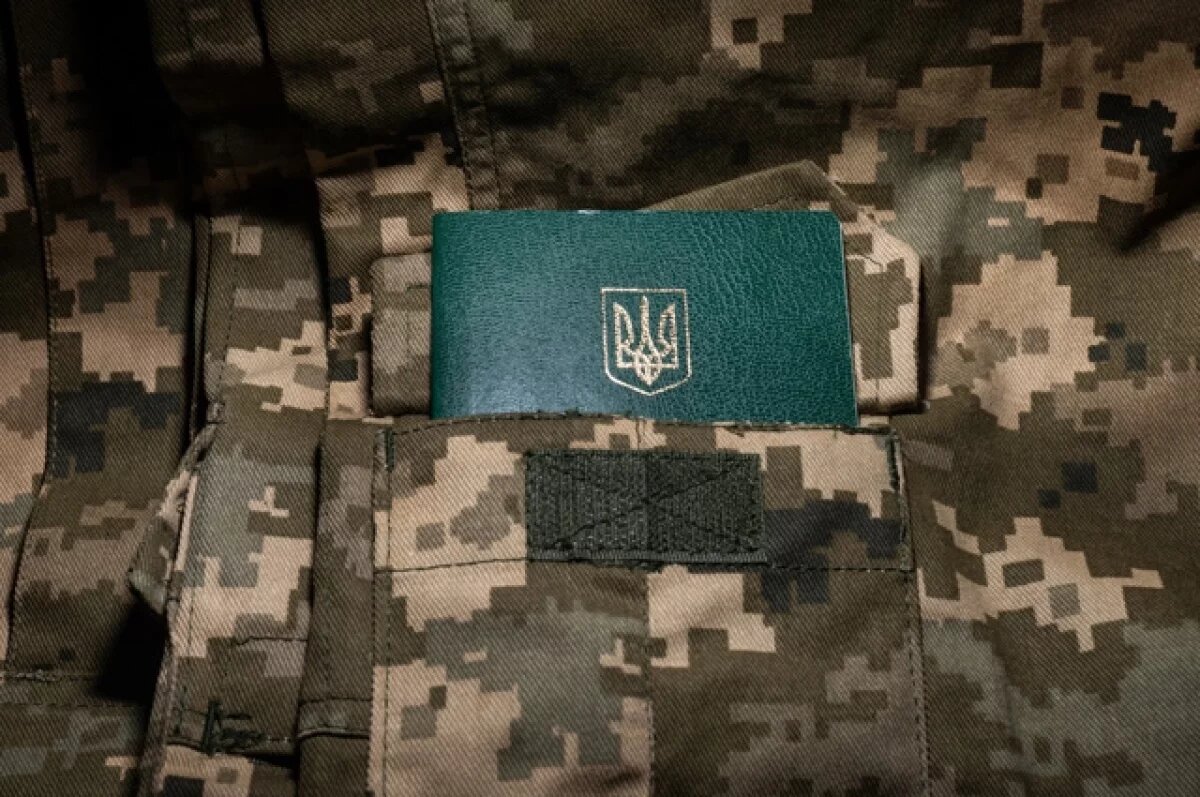    «Кровавые мальчики» Зеленского.