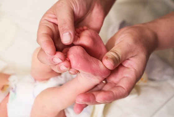    Сергей Петров/NEWS.ru