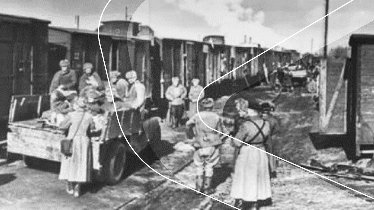 Источник: https://g-p-naziya.ru/spisok-rabotnikov-evakopunkta-na-zh-st-zhiharevo