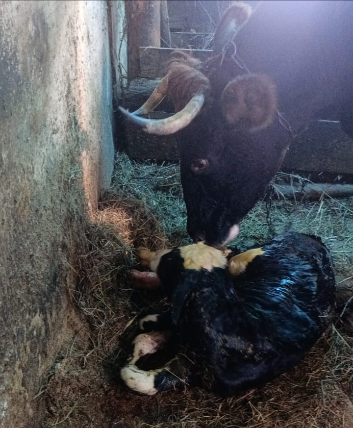 Пардоньте за качество фото. 