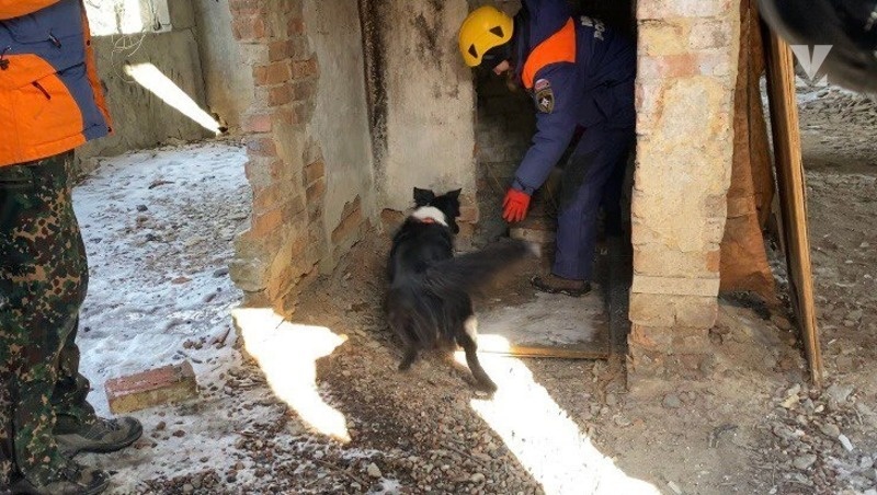      Фото: Диана Хачатурян / / ИА «Победа26»