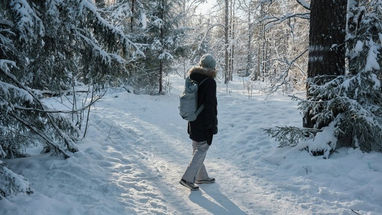 Источник: Unsplash.com