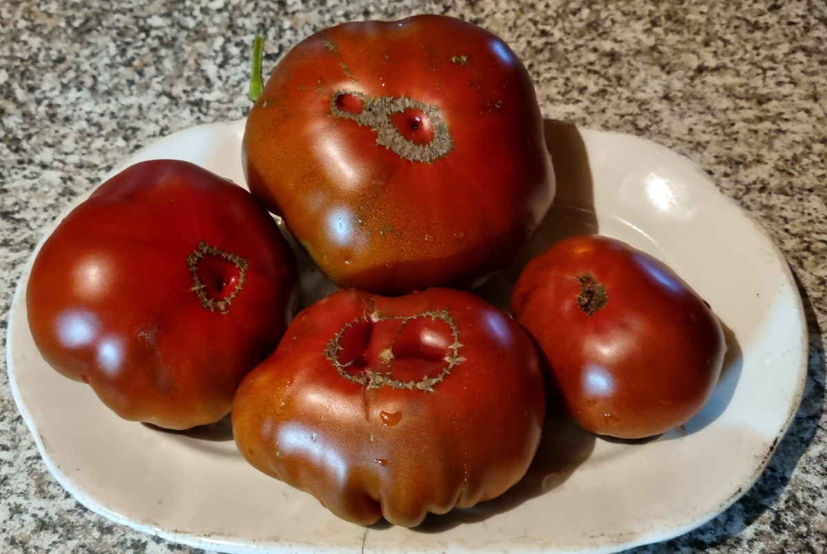 Фото автора.