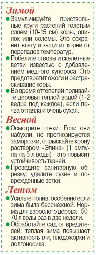    Чем грозит огороду природная аномалия