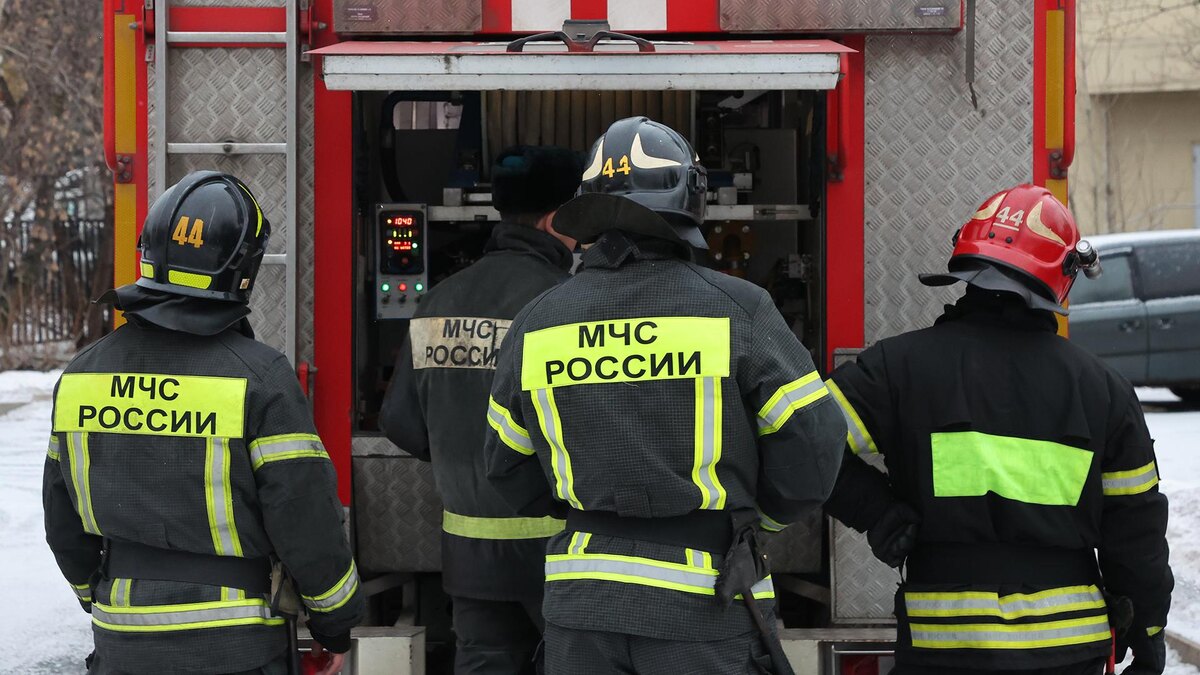    Фото: Belkin Alexey/globallookpress.com