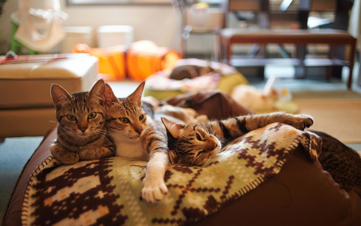 фото: ru.freepik.com