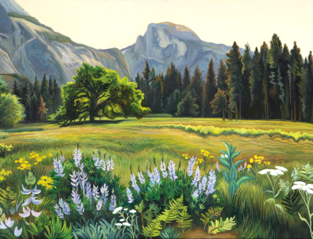 ����-�����, ������������ ���� �������� (2013) �������� ����������� : phyllisshafer.com