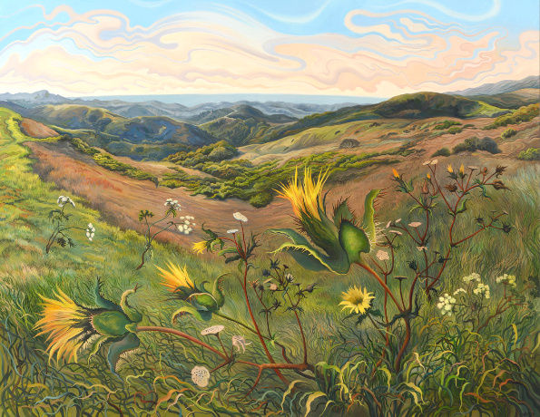 ������ (2013) �������� ����������� : phyllisshafer.com