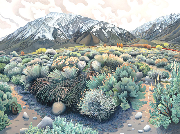 ����. ��� (2024) �������� ����������� : phyllisshafer.com