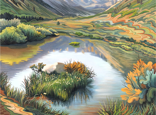 �������� ����������� : phyllisshafer.com