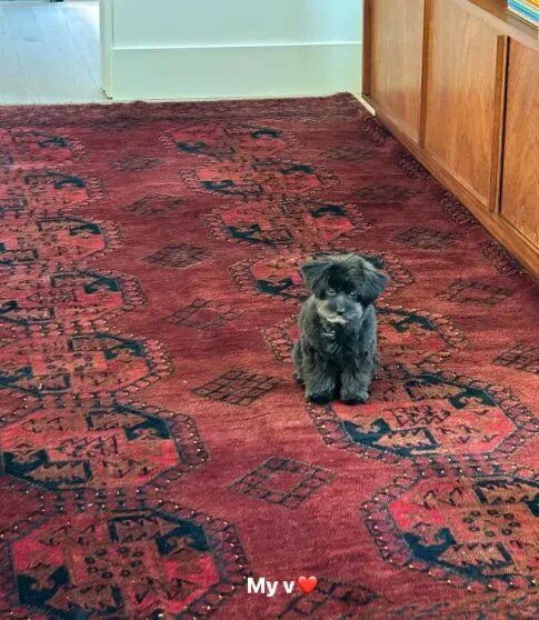    Ирина Шейк. Фото: соцсети