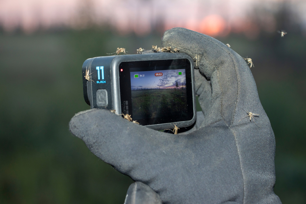 Без репилента в лесу на севере делать нечего - загрызут )