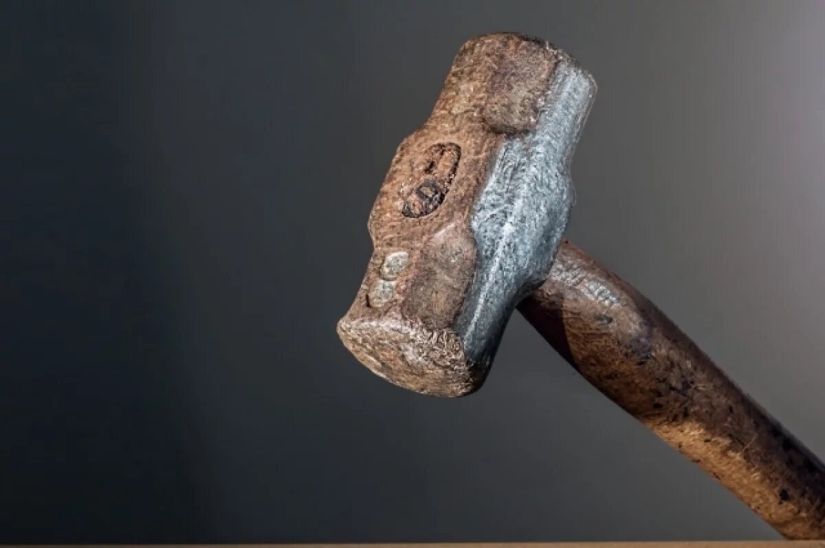    Под Тверью мужчину будут судить за жестокое убийство кувалдой и секатором