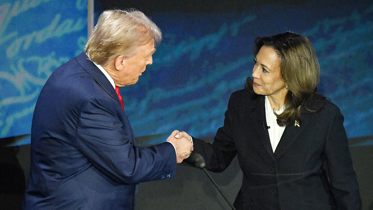 Фото из открытого источника в Яндексе