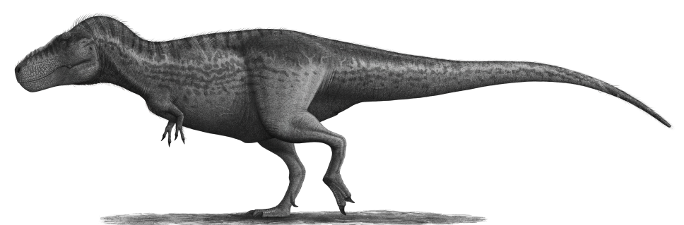 Тираннозавр рекс