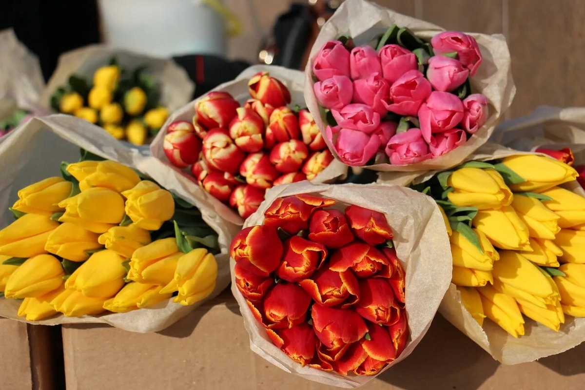 Источник https://avatars.mds.yandex.net/i?id=86933d139ad68780a7c65c5fcb61d51f_l-5232446-images-thumbs&n=13