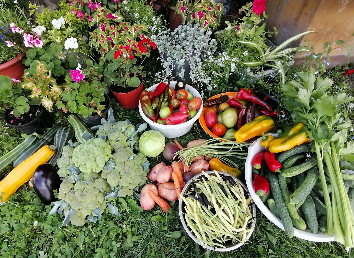 Ну не красота-ли?! Ну как от этого отказаться?