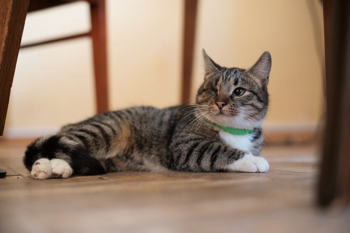 Фото автора