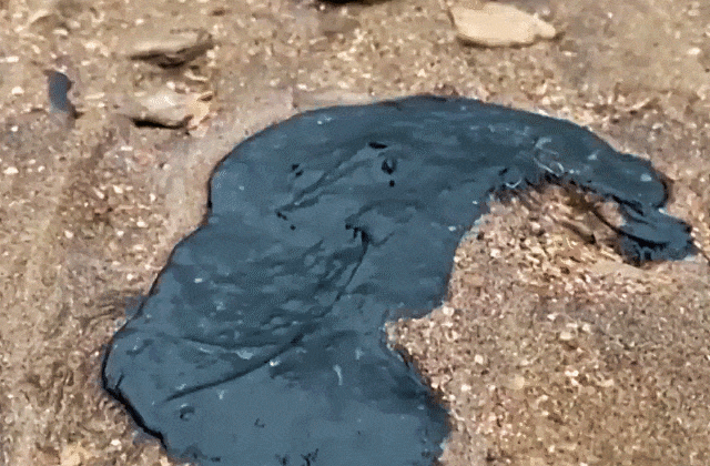 Мазут на берегу Черного моря