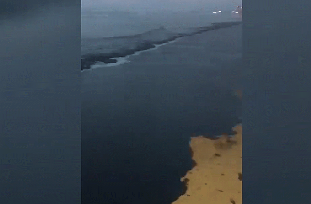 Мазут на берегу Черного моря