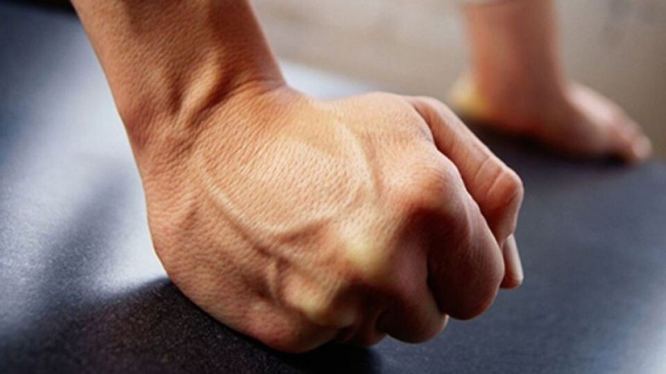    Кулак. Источник: pixabay.com