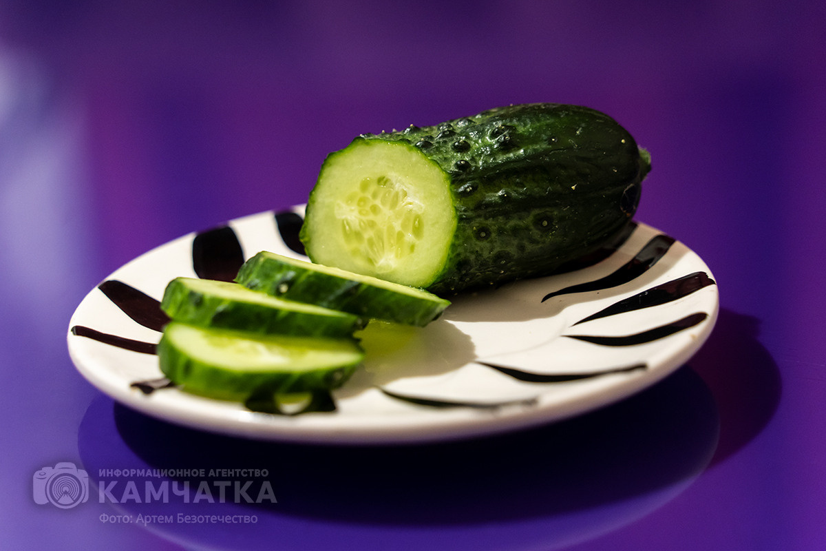 Фото: огурцы тепличного комплекса «Камчатский» / Артем Безотечество / ИА «Камчатка»