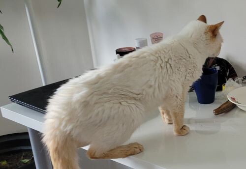 Так, а тут у вас что? 