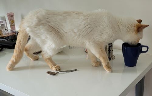 кефиру бы хоть налили... а то - чай! 