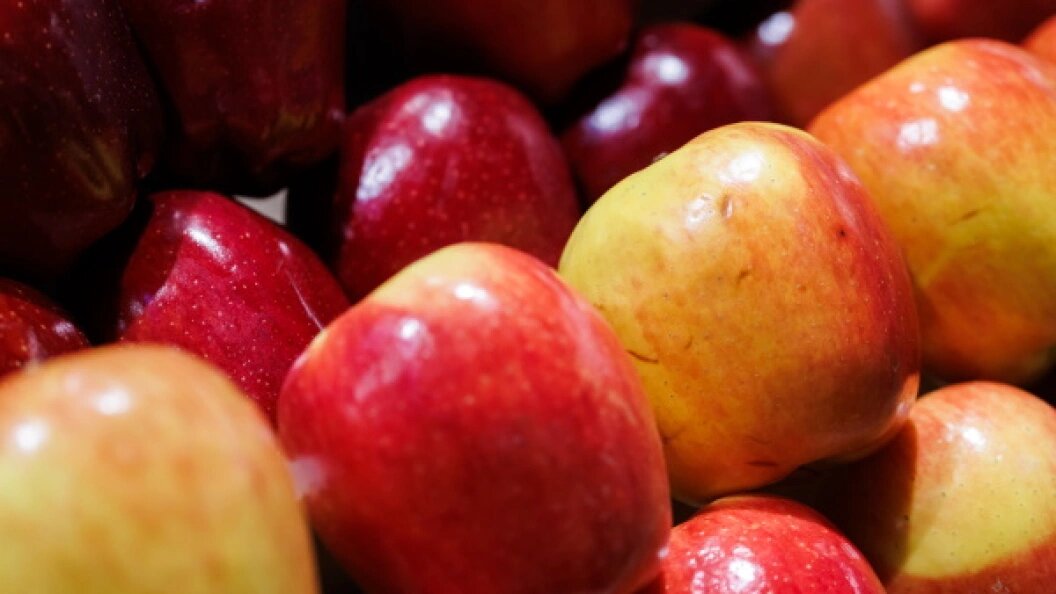    Фото: © Sergey Elagin/Business Online/Globallookpress