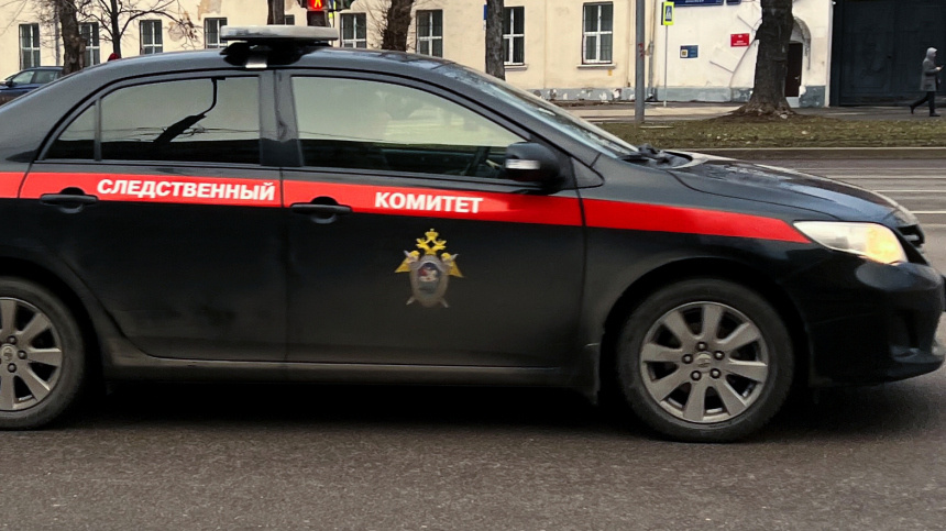    Фото: © РИА Новости/Наталья Селиверстова; 5-tv.ru