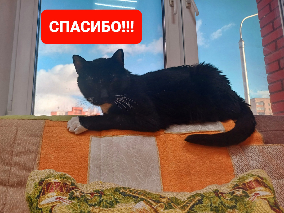 Онигири