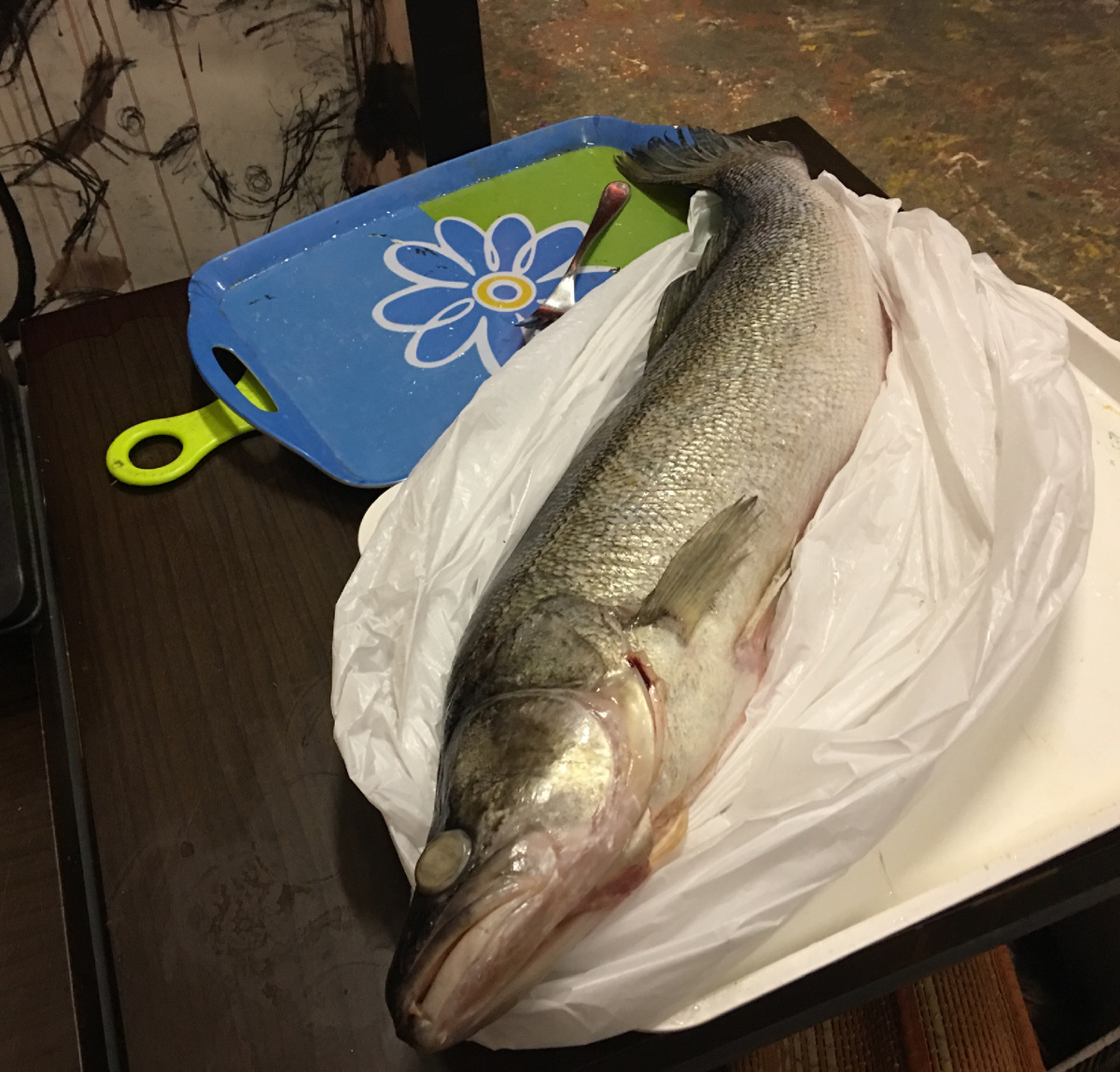 Судачок зачётный, пойдёт на заливное, рецепт дальше