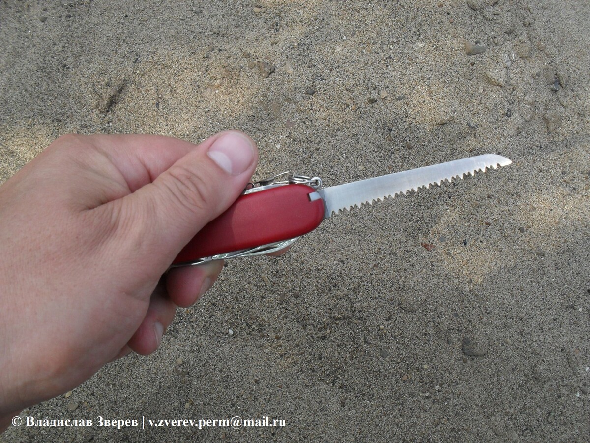 Фото 2. Пила в раскладном ноже.