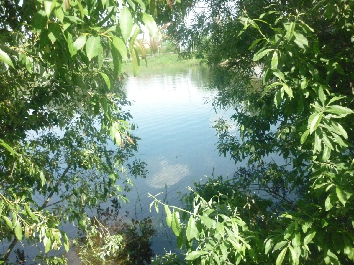 Фото и сосинение моего ребенка .